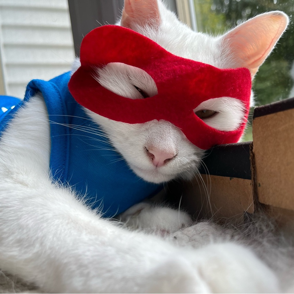 Meet your Posher, Catey